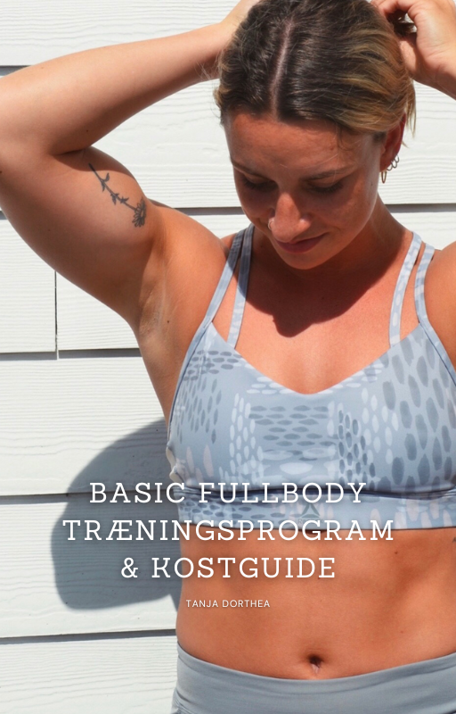Basic Fullbody Træningsprogram & Kostguide